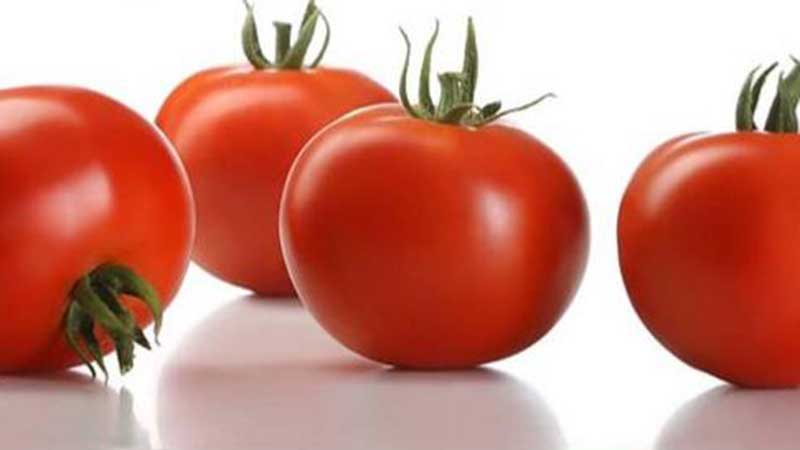 سرمازدگی محصولات کشاورزی با اولویت گوجه فرنگی