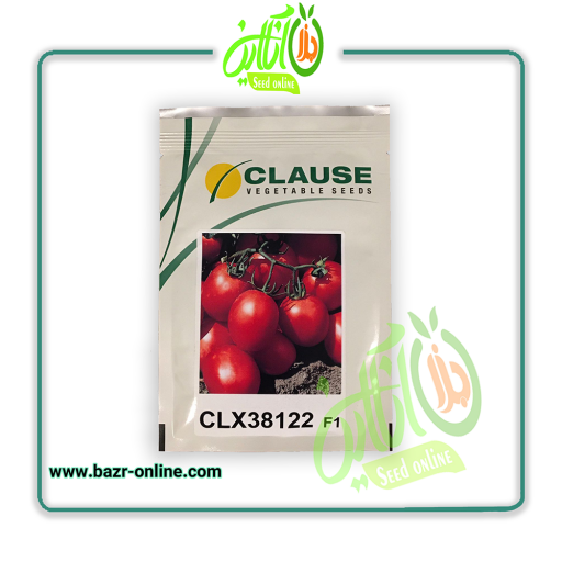 بذر گوجه فرنگی سی ال ایکس کلوز CLX38122