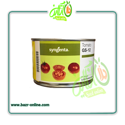 بذر گوجه فرنگی جی اس 12